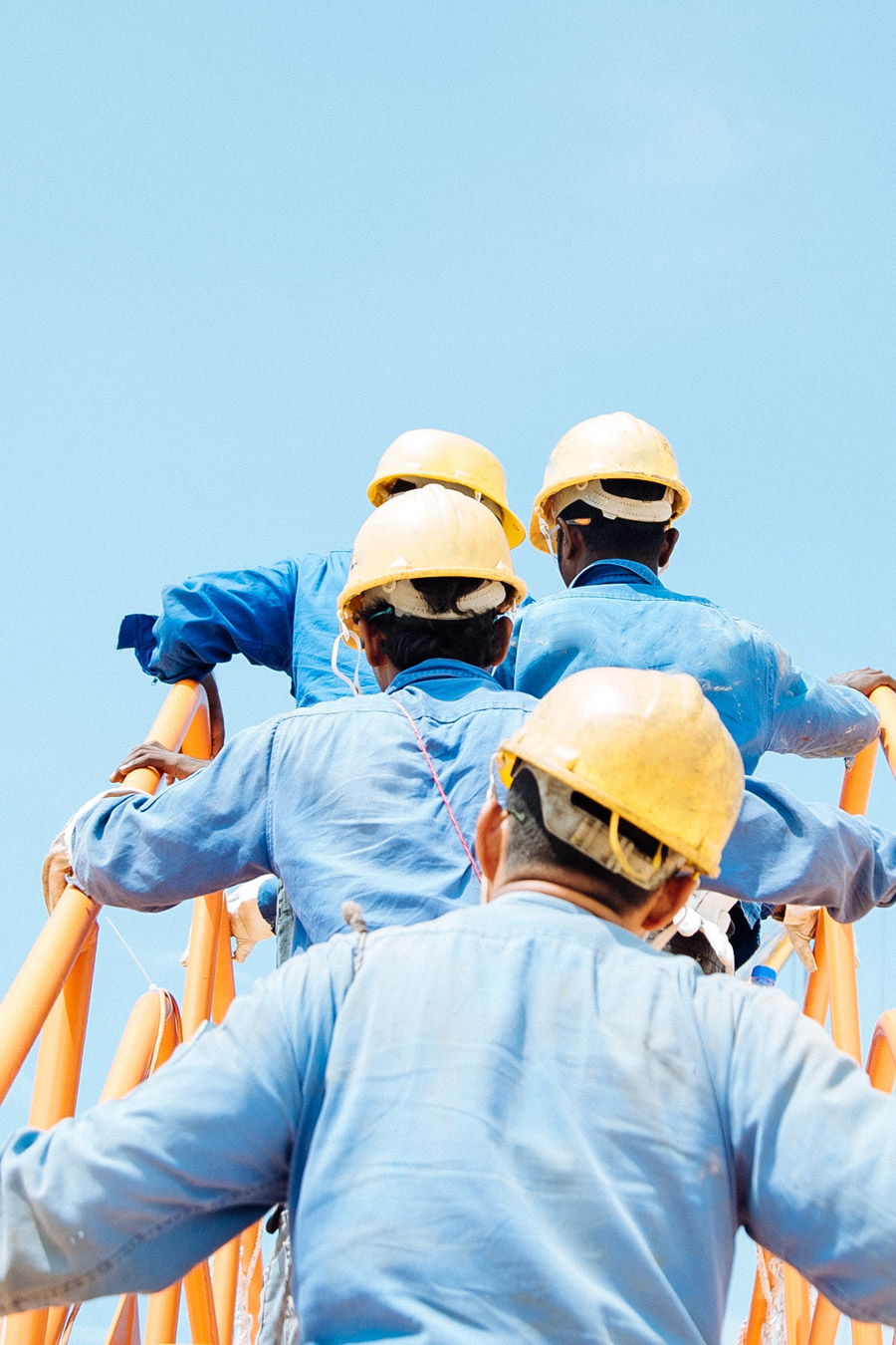 Gráfico de la sección