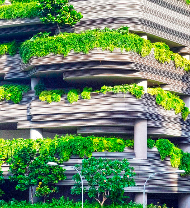  gráfico zonas verdes