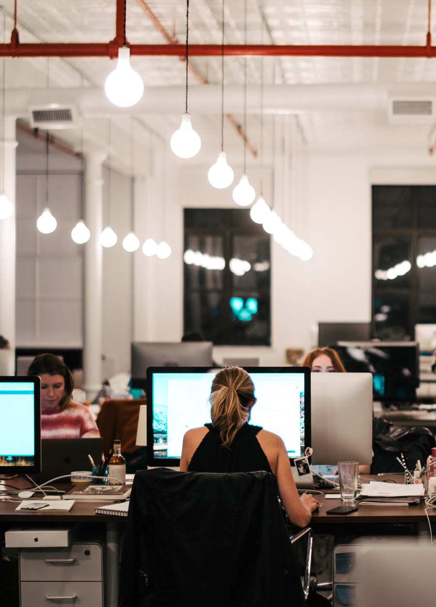 Gráfico de la sección