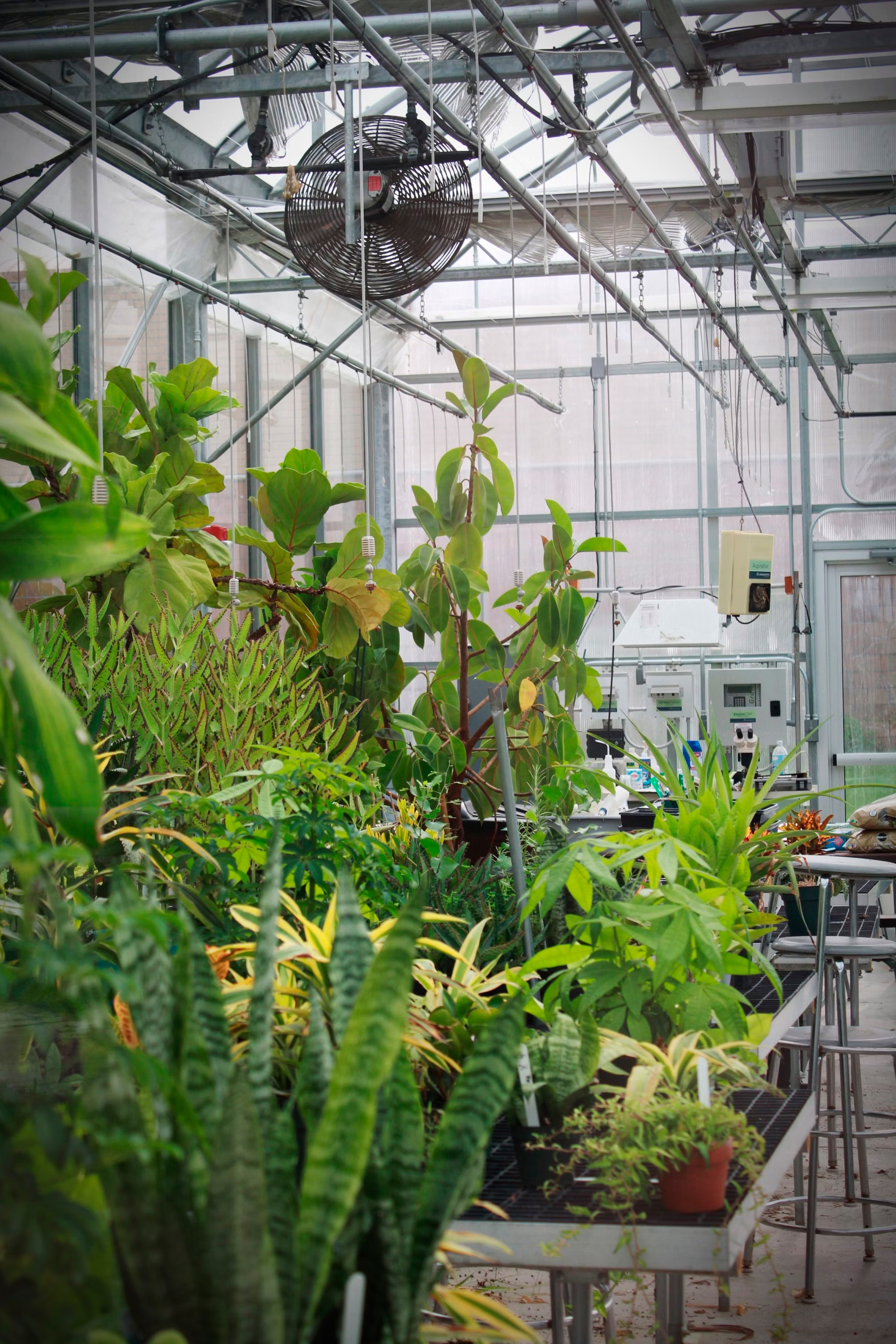 Gráfico de la sección